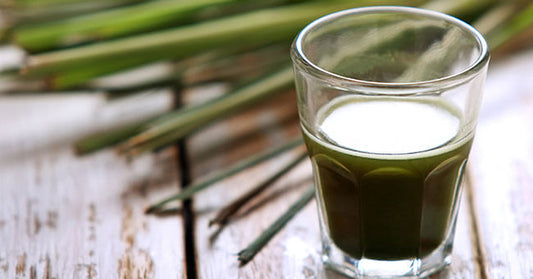 La Clorofilla liquida - ErboristeriaTestaccio.com