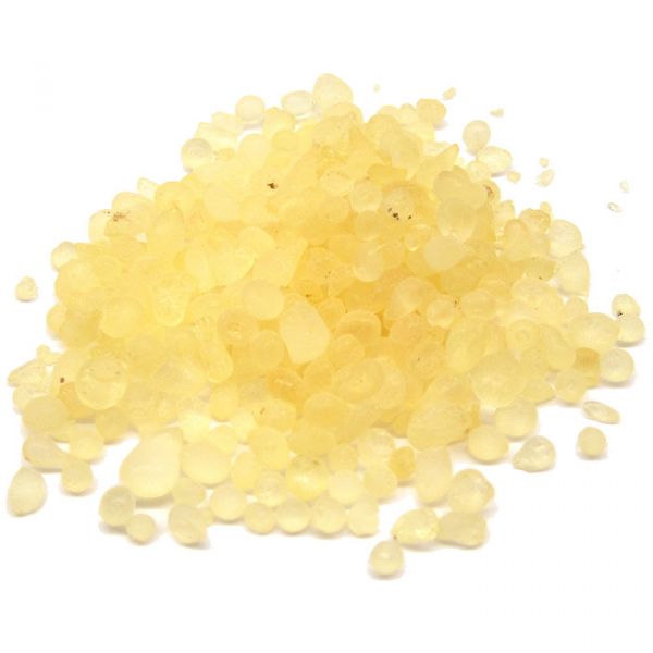 Mastice di Chios 100 gr