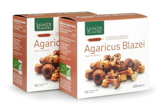 Ligne De Plantes Agaricus Blazei BIO 15 ampolle da 15 ml - ErboristeriaTestaccio.com