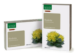 Ligne De Plantes Rodiola BIO 20 ampolle da 15 ml - ErboristeriaTestaccio.com