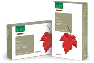 Ligne De Plantes Vite Rossa BIO 20 ampolle da 15 ml - ErboristeriaTestaccio.com