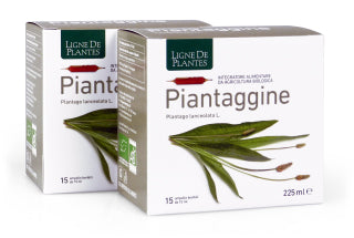 Ligne De Plantes Piantaggine BIO 15 ampolle da 15 ml - ErboristeriaTestaccio.com