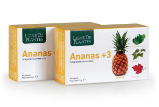 Ligne De Plantes Ananas +3 60 Capsule - ErboristeriaTestaccio.com