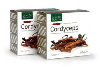 Ligne De Plantes Cordyceps 15 ampolle da 15 ml - ErboristeriaTestaccio.com