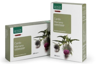 Ligne De Plantes Cardo Mariano BIO 20 ampolle da 15 ml - ErboristeriaTestaccio.com