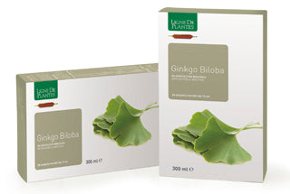 Ligne De Plantes Ginkgo Biloba BIO 20 ampolle da 15 ml - ErboristeriaTestaccio.com