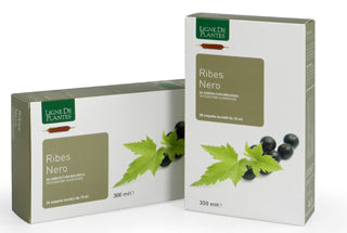 Ligne De Plantes Ribes Nero BIO 20 ampolle da 15 ml - ErboristeriaTestaccio.com