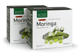 Ligne De Plantes Moringa 15 ampolle da 15 ml - ErboristeriaTestaccio.com