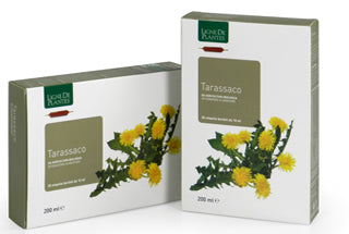 Ligne De Plantes Tarassaco BIO 20 ampolle da 15 ml - ErboristeriaTestaccio.com