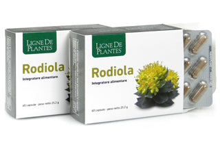 Ligne De Plantes Rodiola 45 Capsule - ErboristeriaTestaccio.com